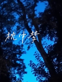 枕中书