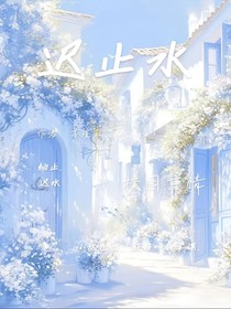 迟止水