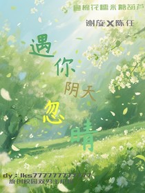 遇你阴天忽晴