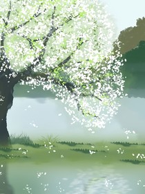 梨花再开