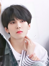 SEVENTEEN梦女：我的四季