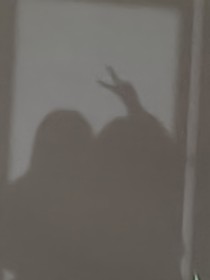 称愿