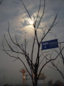 暗途回响