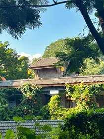如果重來：我一定不走父母選擇的路