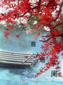 灯火意珊阑