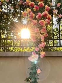余余熠熠