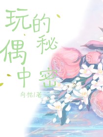 玩偶中的秘密