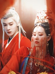 综影视：圆愿事务所