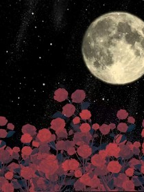 综影视：意难平终散