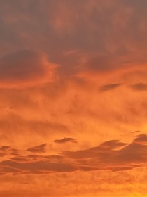 月夜光降