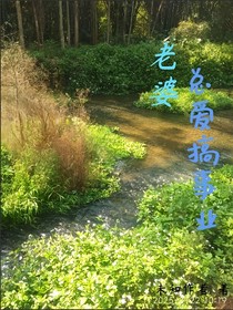 老婆总爱搞事业