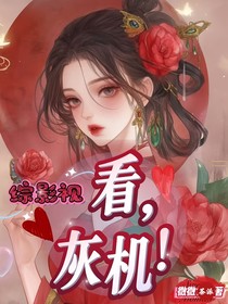 綜影視：看，灰機(jī)