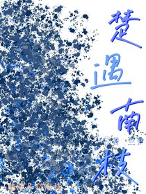 楚遇南枝