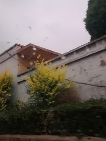 人生之路一白色