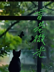 盲巷微光