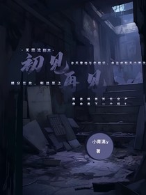 初见再见