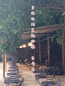 多体姐的反向救赎
