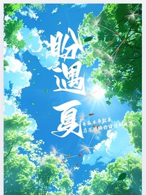盼遇夏