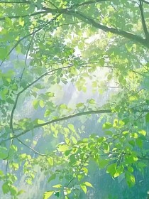 星落无归处