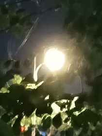 诗文选集