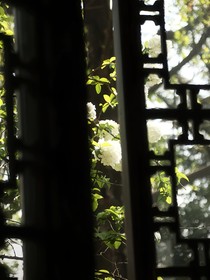 斗1：星启
