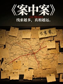 六五：案中案