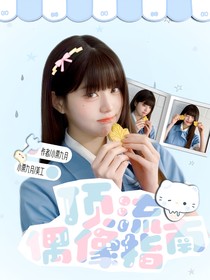 顶流偶像指南