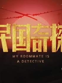民国奇探之探案风云