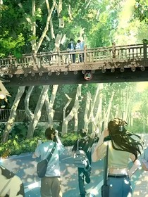 一些小说随笔