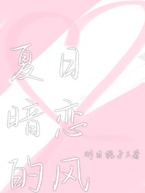 夏日暗恋的风