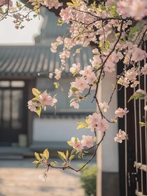 汐梦幻欣妍