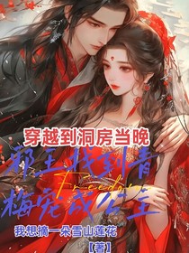 穿越到洞房当晚，治好弱视王爷宠成心尖子