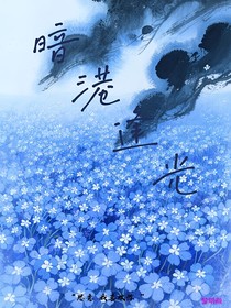 He：暗港逢光