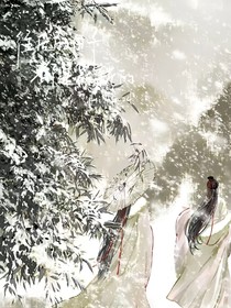 剑影珠韵