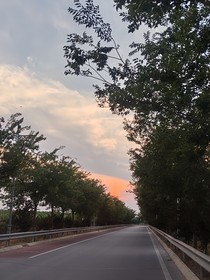 晚安青春