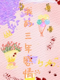我的三年感情