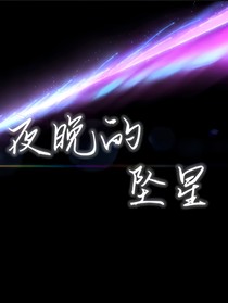 夜晚的墜星