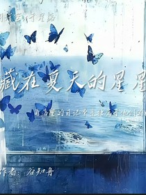 藏在夏天的星星