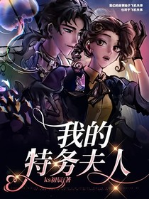 我的特务夫人