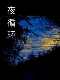 夜循环