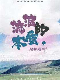 跳地：流浪的本质是相遇吗？