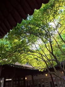 青春观察日记