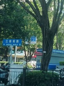 他和他的意难平