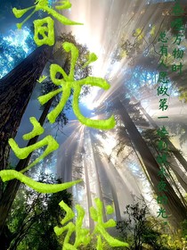 暮光之迷