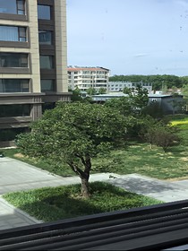 画星绘梦