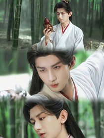 莲花楼：自创后续
