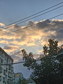 又是可以见到他的一天