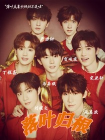 落叶归根（乱炖）