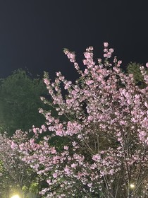 余生沐陽(yáng)