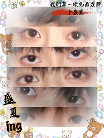 TF家族四代—盛夏